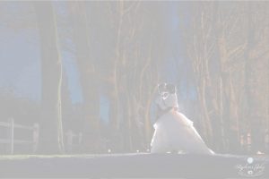 queenie-david-bg-white